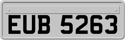 EUB5263
