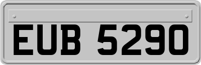EUB5290