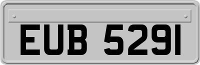 EUB5291