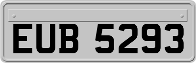 EUB5293