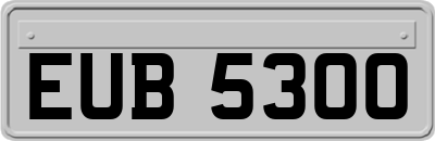 EUB5300