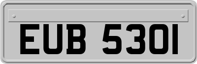EUB5301