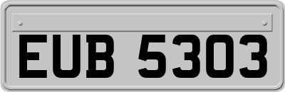 EUB5303