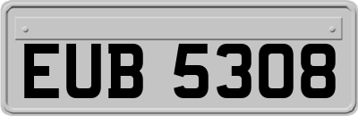 EUB5308
