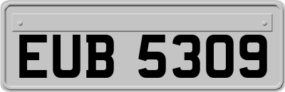 EUB5309