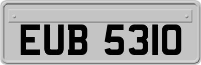 EUB5310