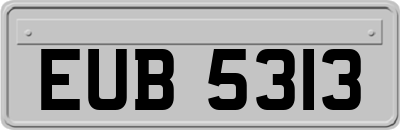 EUB5313
