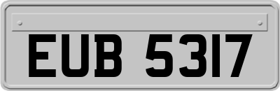 EUB5317