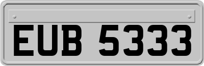 EUB5333