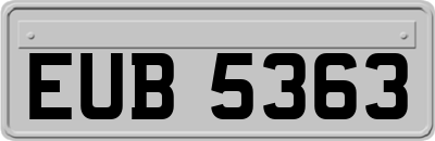 EUB5363