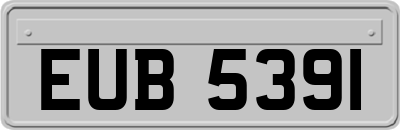 EUB5391
