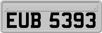 EUB5393