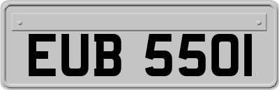 EUB5501
