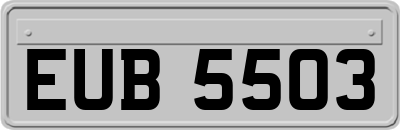 EUB5503