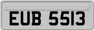 EUB5513