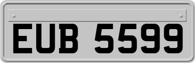 EUB5599