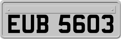EUB5603