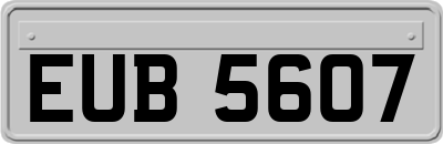 EUB5607