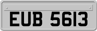 EUB5613