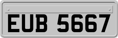 EUB5667