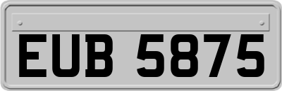 EUB5875