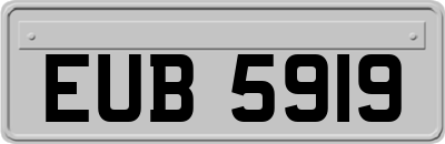 EUB5919