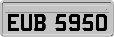 EUB5950