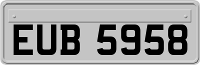 EUB5958