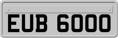 EUB6000