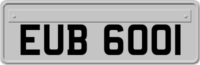 EUB6001