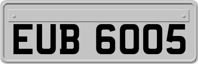 EUB6005