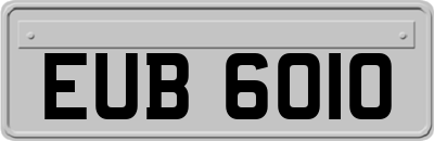 EUB6010