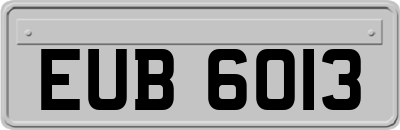 EUB6013