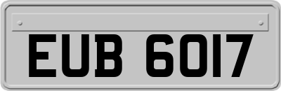 EUB6017