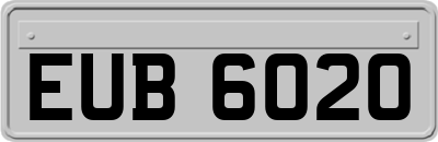EUB6020