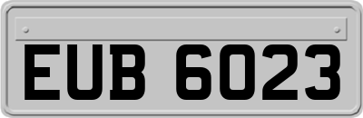 EUB6023