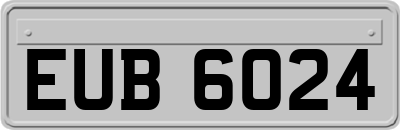 EUB6024