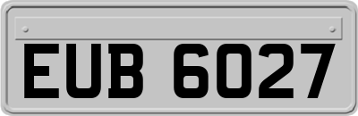 EUB6027