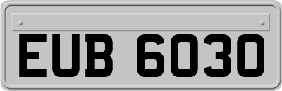EUB6030