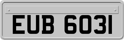 EUB6031