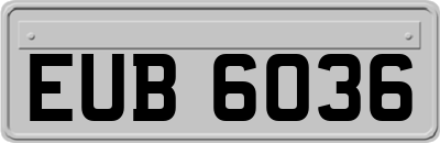 EUB6036