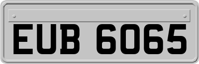 EUB6065