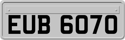 EUB6070