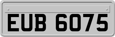 EUB6075