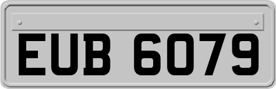 EUB6079