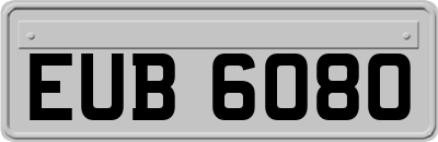 EUB6080