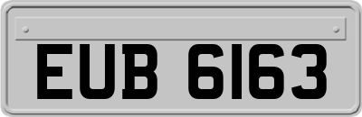 EUB6163