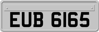 EUB6165