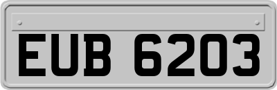 EUB6203