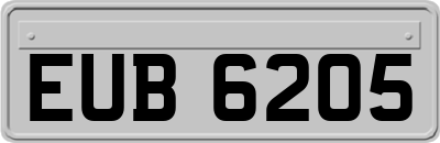 EUB6205